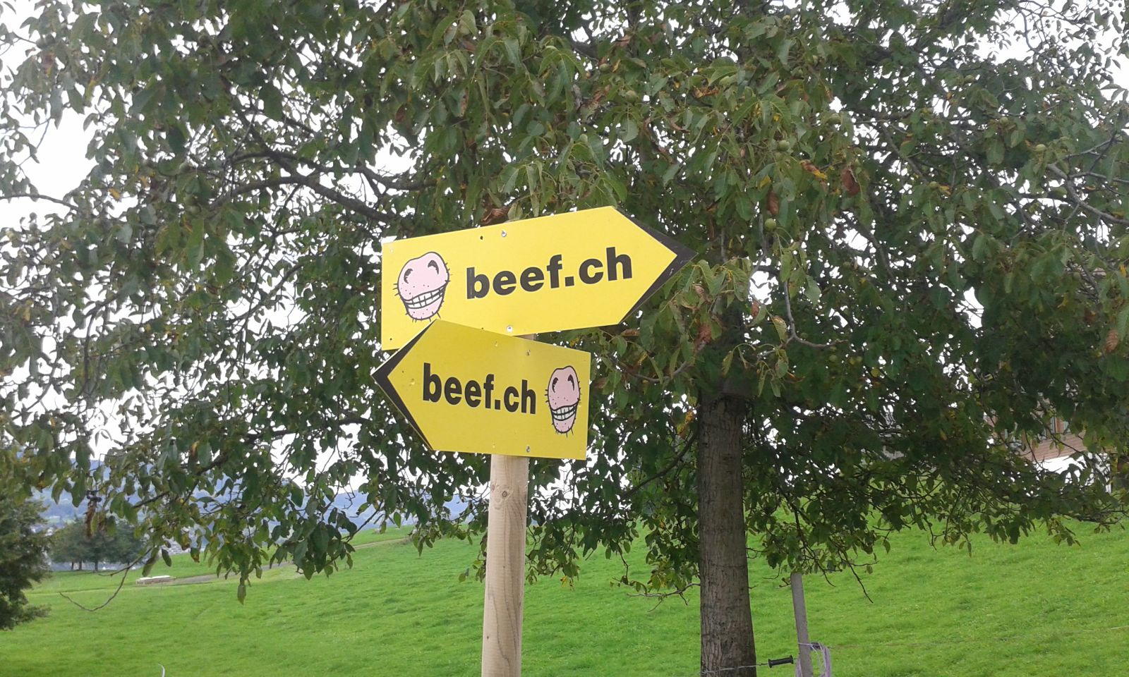 beef14_Fotos Rita Büeler_2014_Wegweiser.jpg
