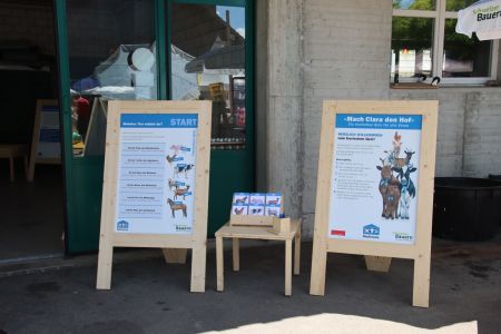 beef.ch_Strickhof_Quelle_Mutterkuh_Schweiz (175).JPG